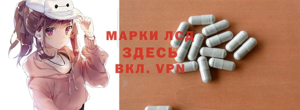 прущие грибы Баксан