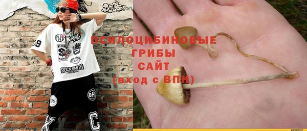 первитин Армянск