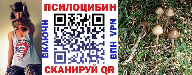 Галлюциногенные грибы мухоморы  площадка какой сайт  Чехов 